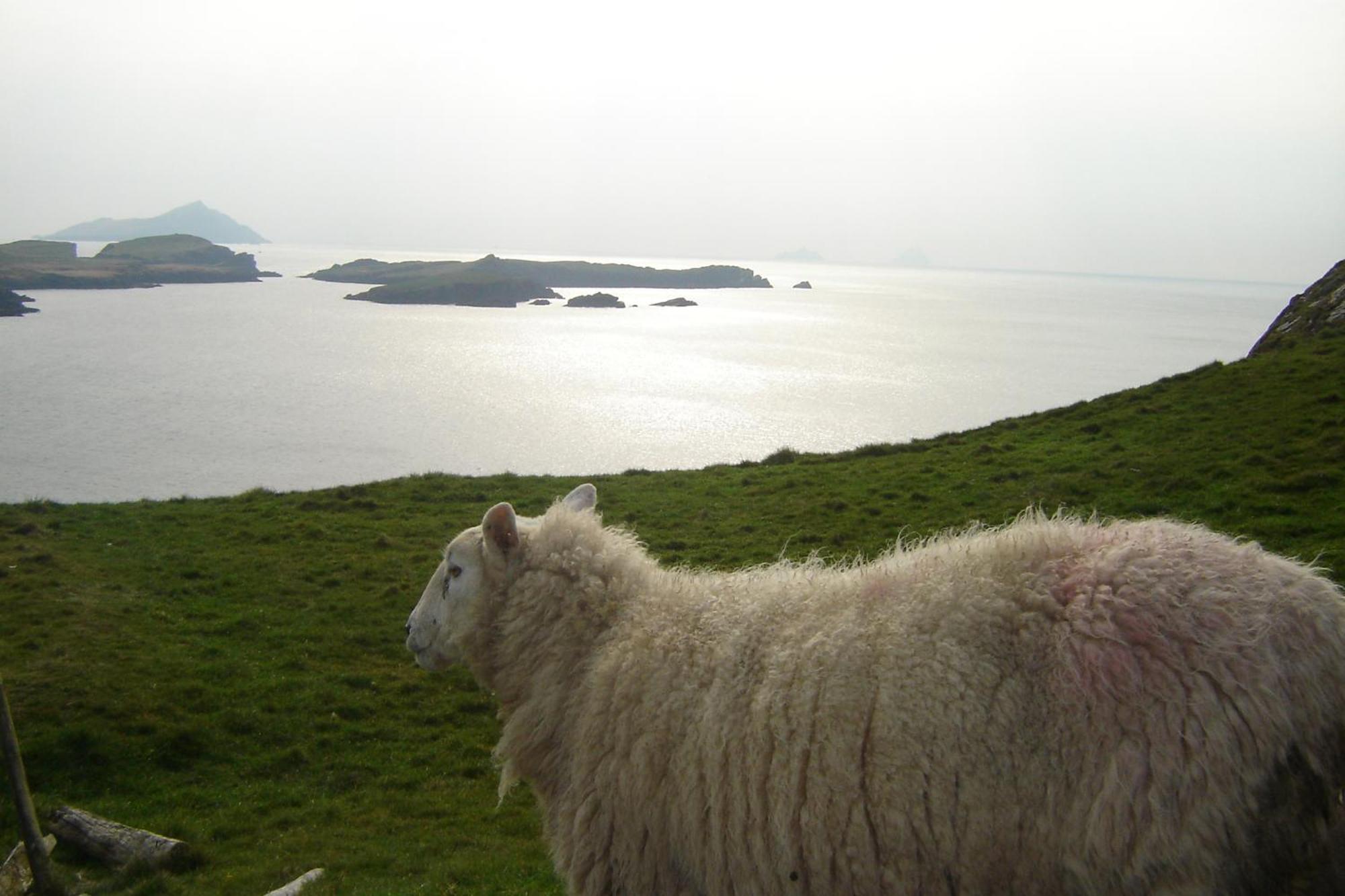 Bed and Breakfast Carraig Liath House Clynacartan Exterior foto