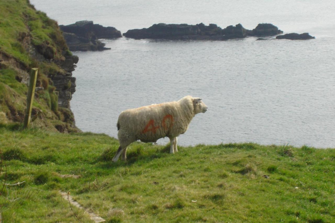 Bed and Breakfast Carraig Liath House Clynacartan Zimmer foto